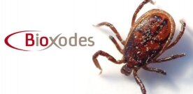 Bioxodes to develop antithrombotic peptide derived from tick saliva following €2.6 million seed funding round